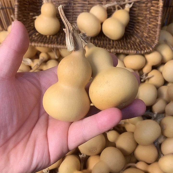 在一起就算没有时间