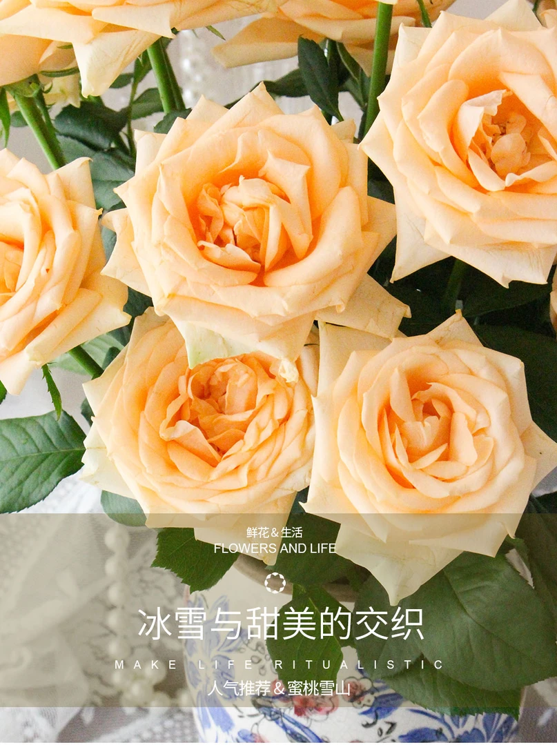 【明日必达】香槟玫瑰10枝生活鲜切花-京东包邮到家