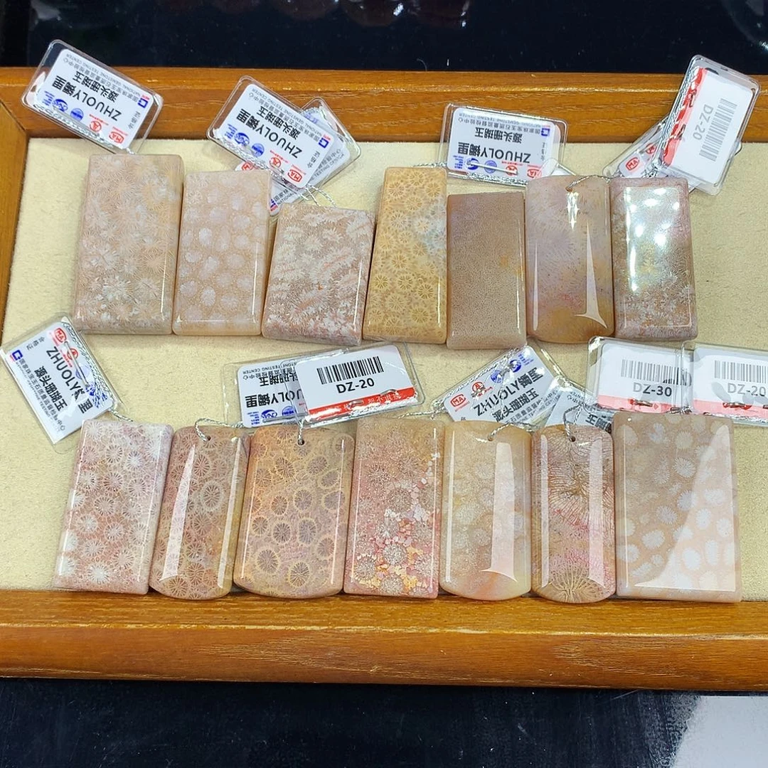 硅化珊瑚（珊瑚玉）未镶嵌吊坠(赠链)35号吊坠20一个