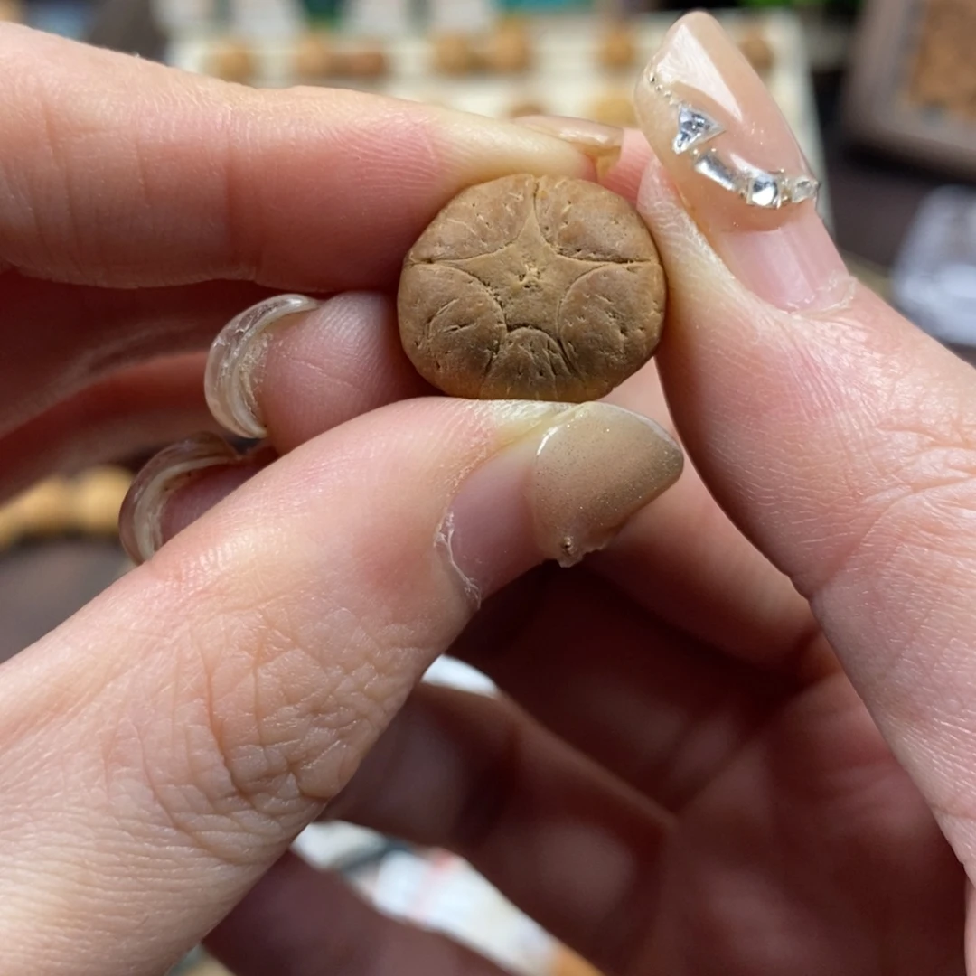 吊坠凤眼菩提五星上将16.6