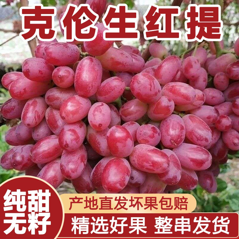 【产地直发】沙漠种植 克伦生 无籽红提葡萄 应季水果