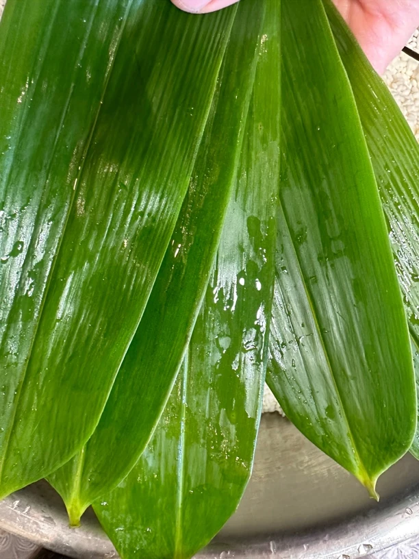 镇雄本地粽子叶子