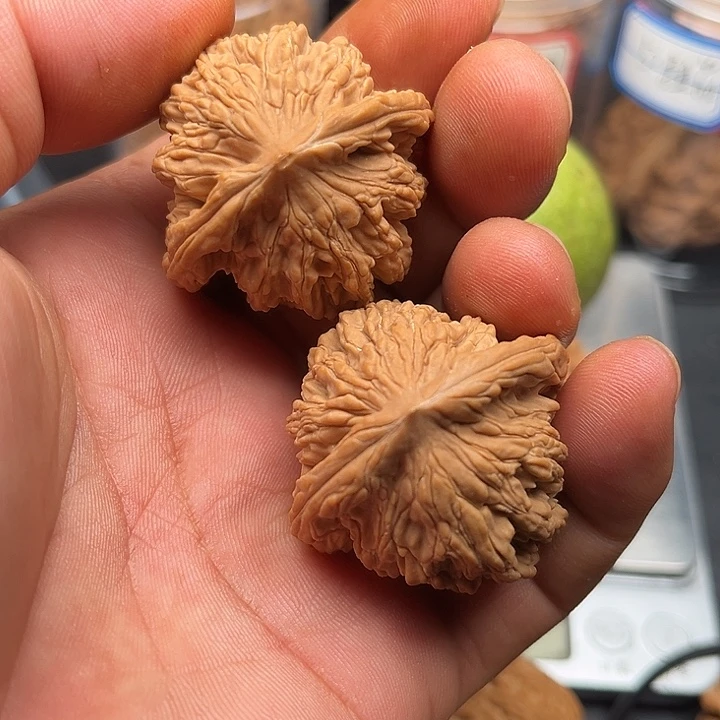 文玩核桃把件虎头磕尖