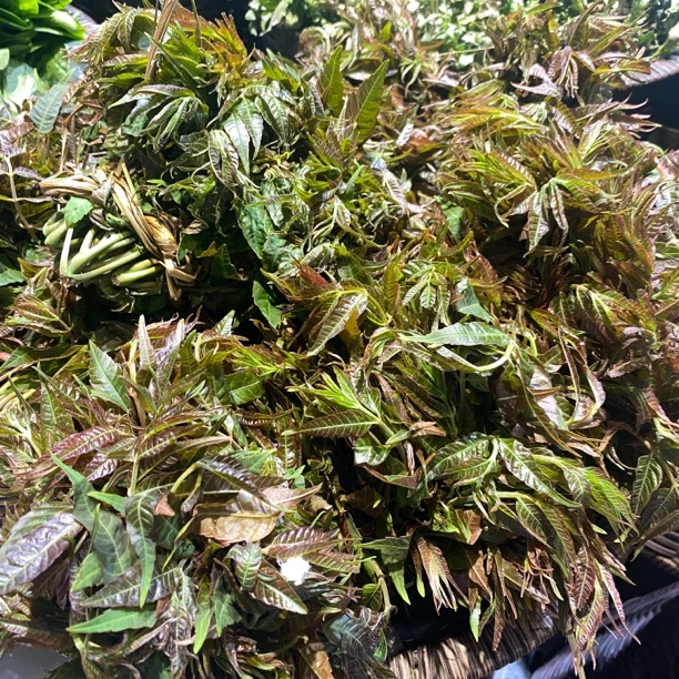 香椿芽1盒