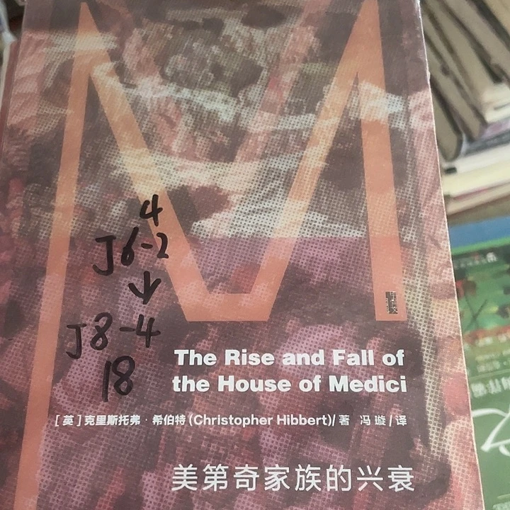 美第奇家族微瑕微瑕