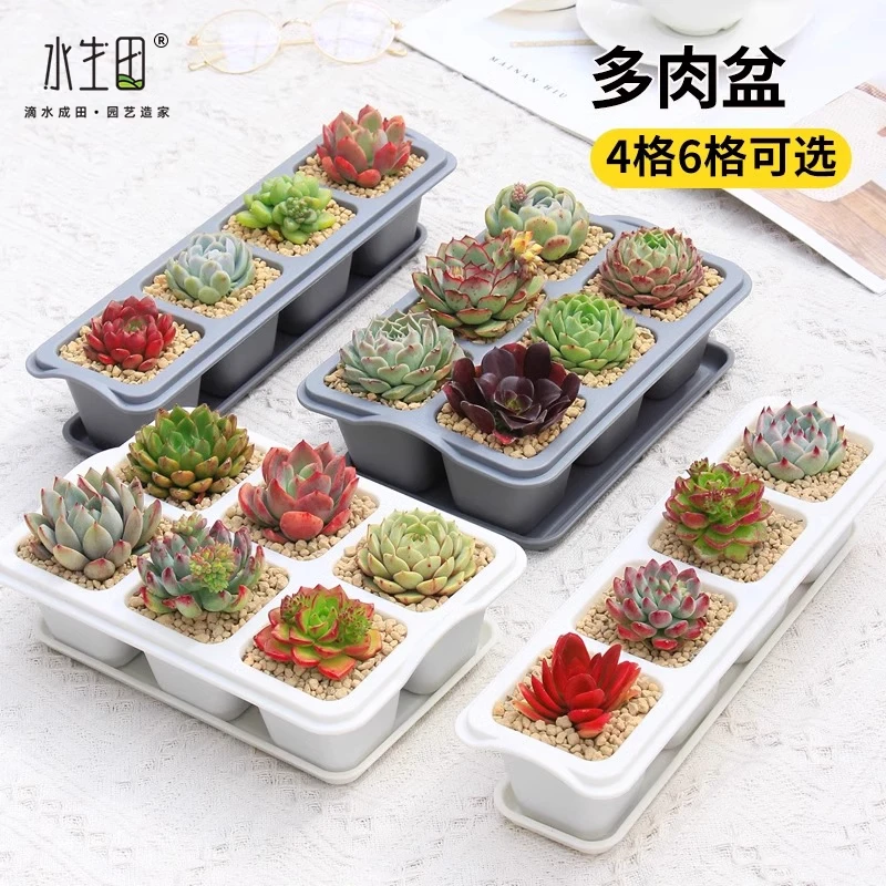 多肉专用盆长方形桌面窗台种植格大口径盆栽加厚塑料创意小盆栽