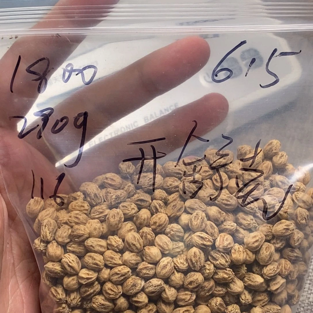 柏香籽/百香籽吊坠开****机