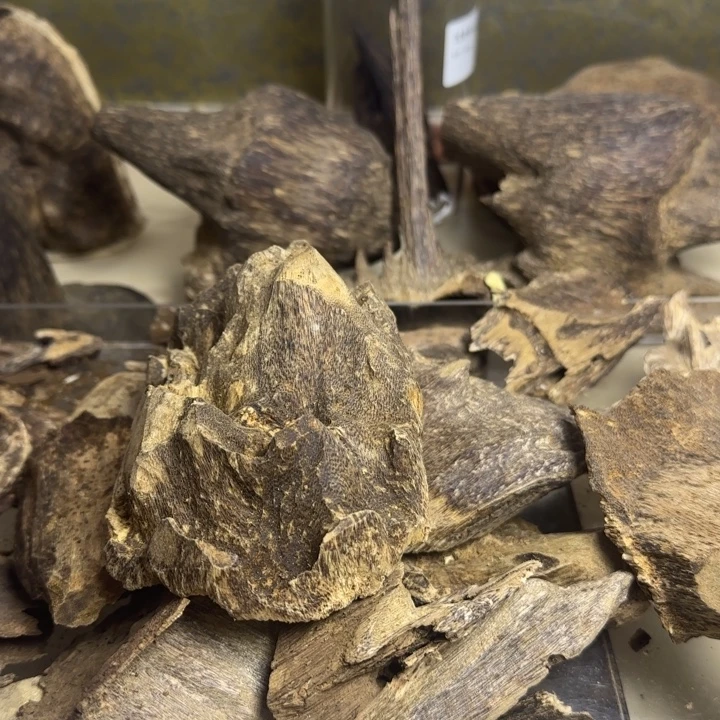 沉香碎屑沉香沉香铁头20克