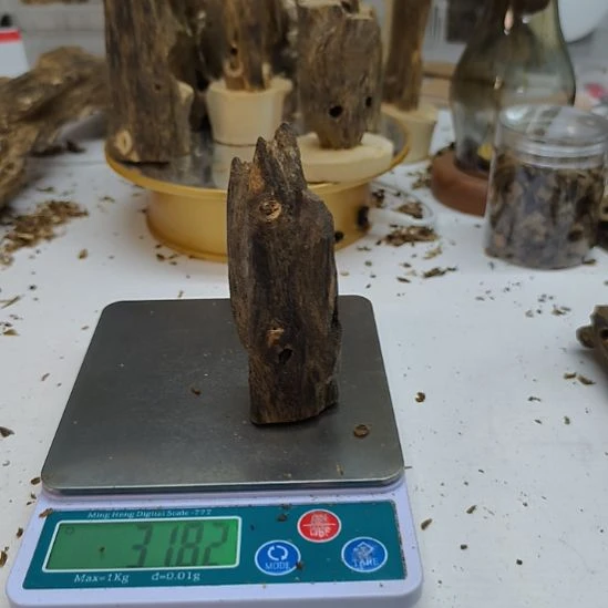 沉香沉香碎屑棋楠虫漏小料31克