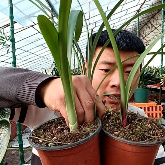 萌哥150的3颗！！！！！