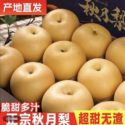 【产地助农】正宗烟台莱阳秋月梨新鲜冰糖梨当季水果秋月梨皮薄