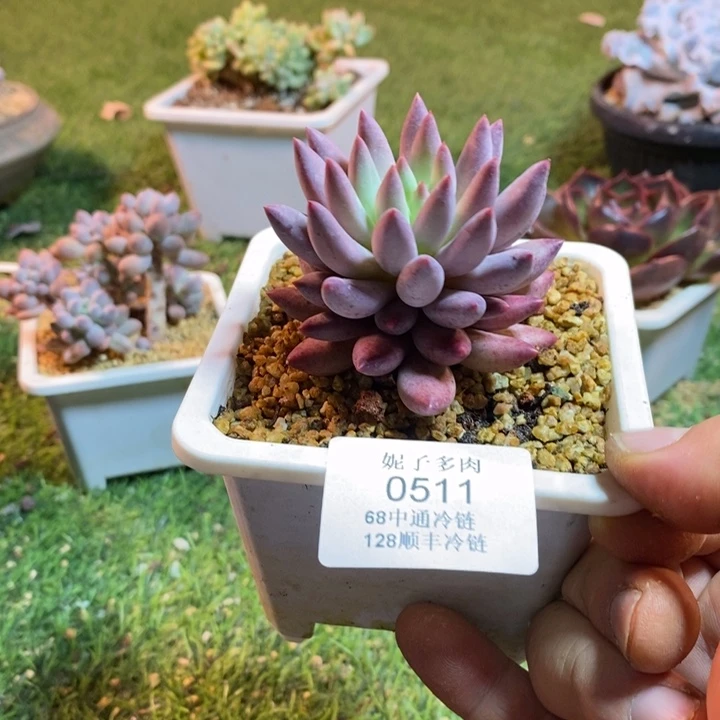 0511啊啊啊啊啊啊啊啊啊啊