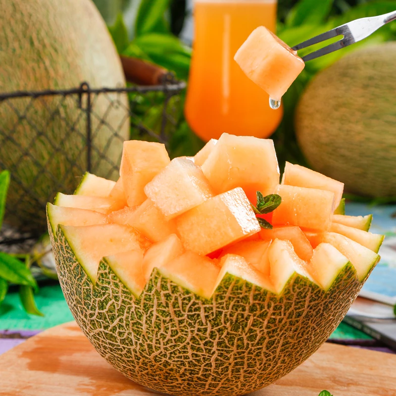海南西州蜜瓜4.5斤/8斤当季新鲜甜蜜香瓜爽口水果