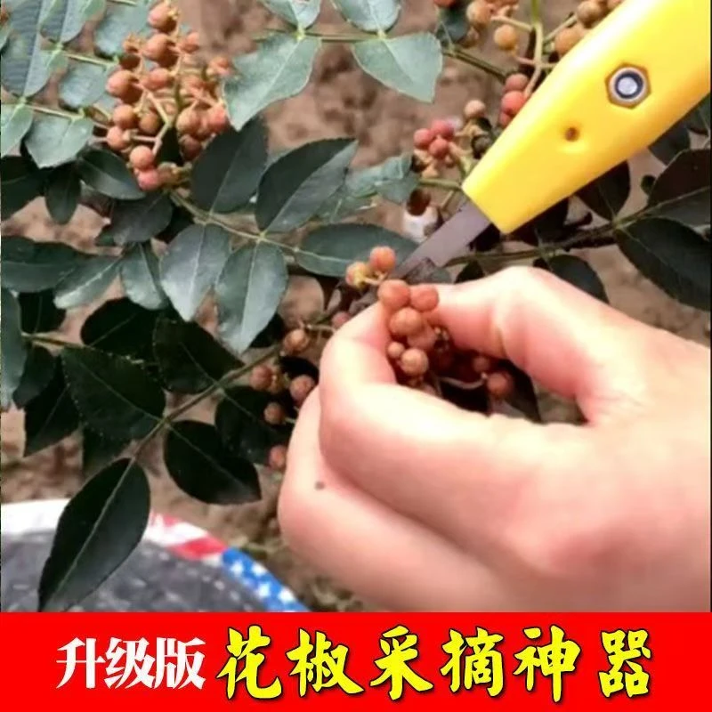 摘花椒神器手握专多功能用剪刀葡萄草莓枸杞芸豆荔枝龙眼采摘工具