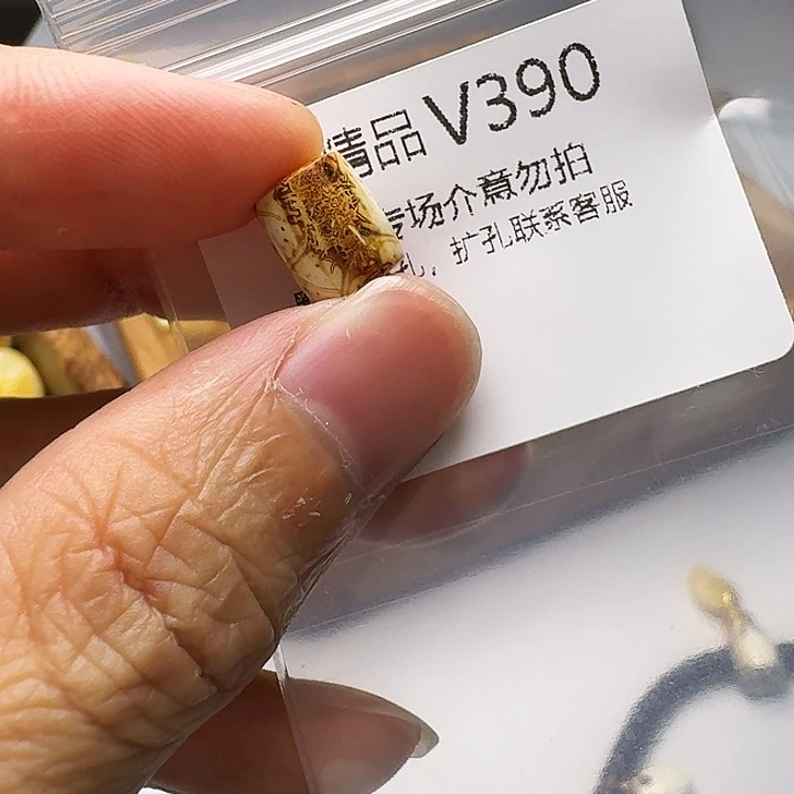 裸石琥珀未镶嵌琥珀