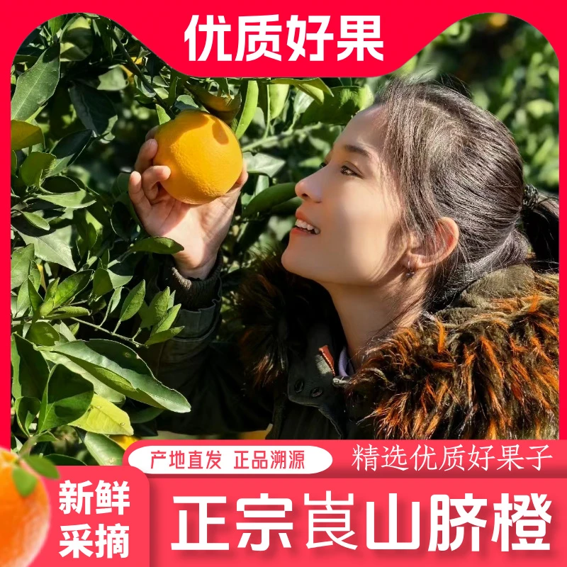 湖南正宗崀山脐橙当季现摘新鲜水果产地直发清甜多汁整箱新宁橙子