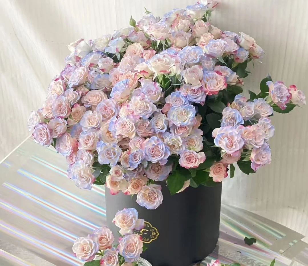 【万紫专属】折射碎冰蓝多头10枝