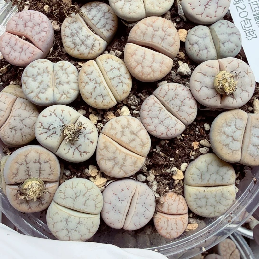 你不去上班呀吗还没有044我