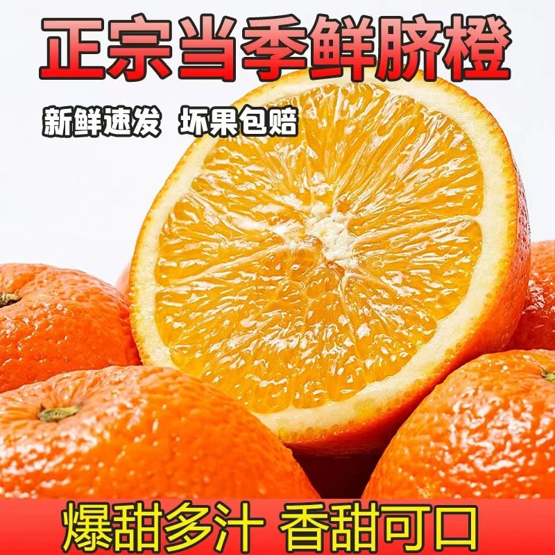 脐橙新鲜水果果园直发