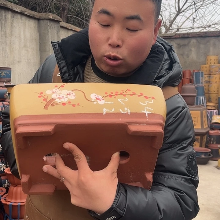 紫砂紫砂花盆盆栽