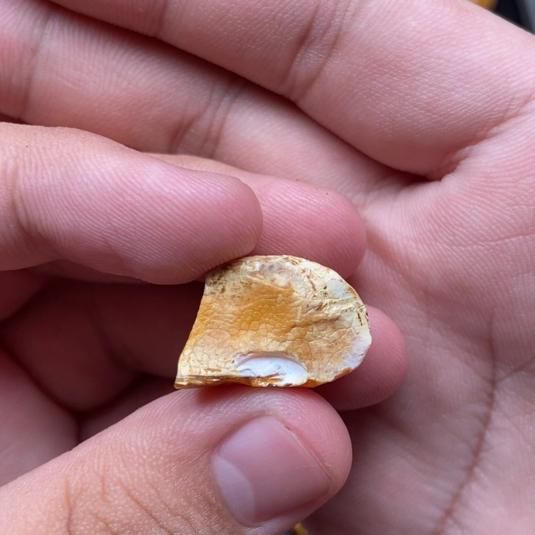 定制琥珀未镶嵌定制