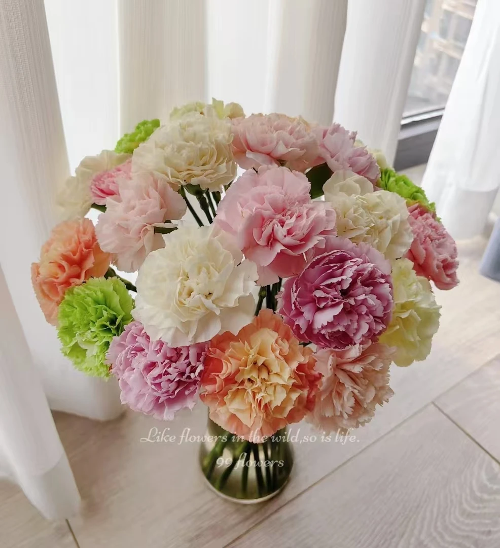 【混搭色单头康乃馨20枝】|全场任意两单鲜花升级快递