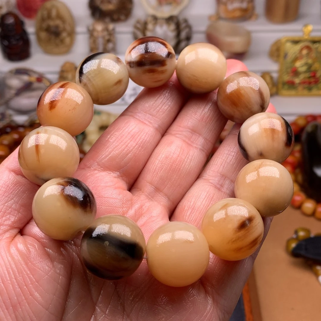 牛骨其他天天都在盘  20