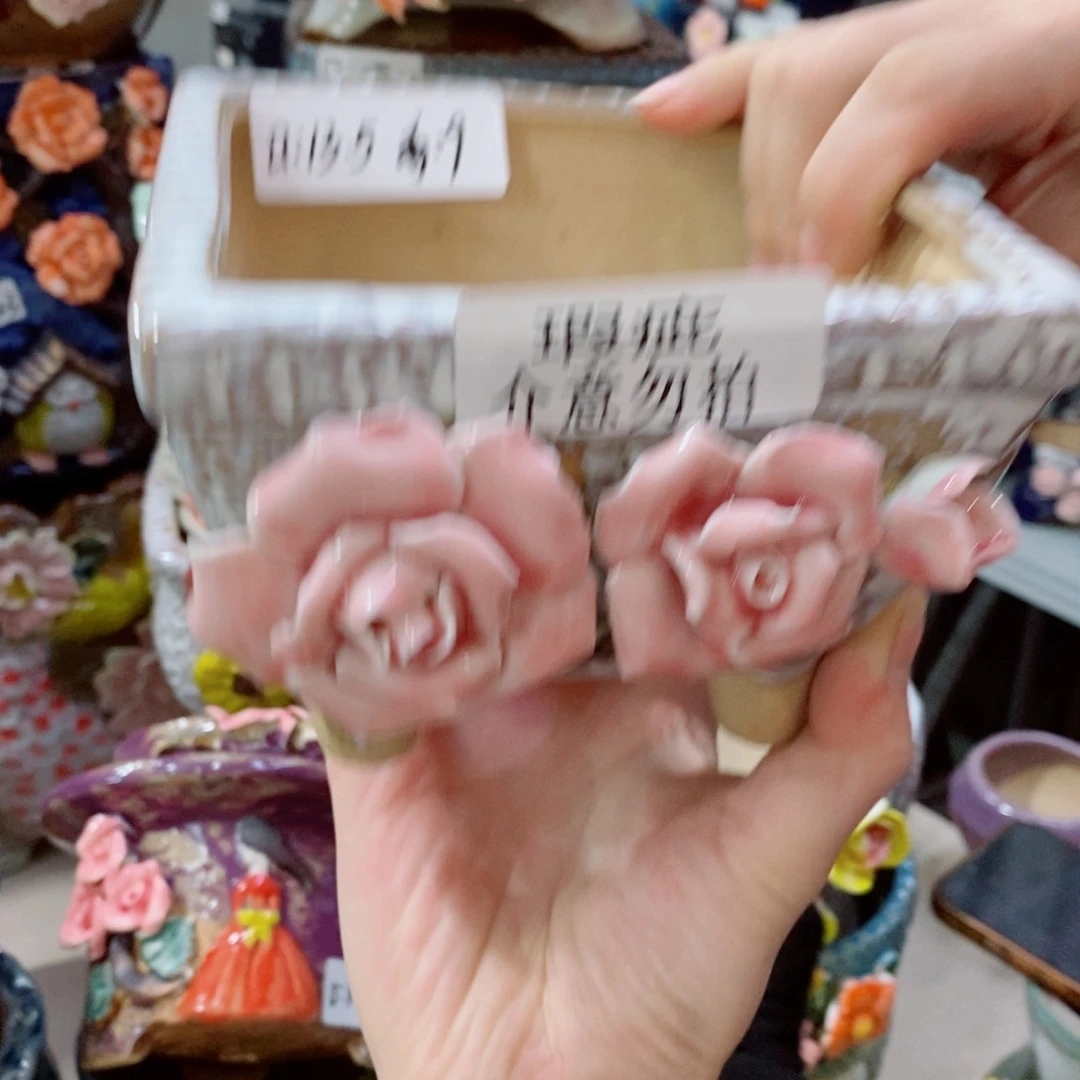 红陶福利福利多多