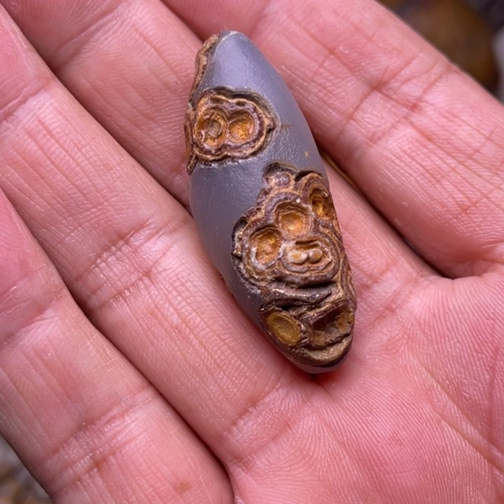 镀金戈壁滩上的一玛瑙石