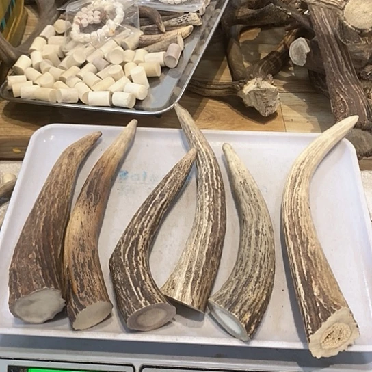 远***族大叶紫檀（黑酸枝木类）