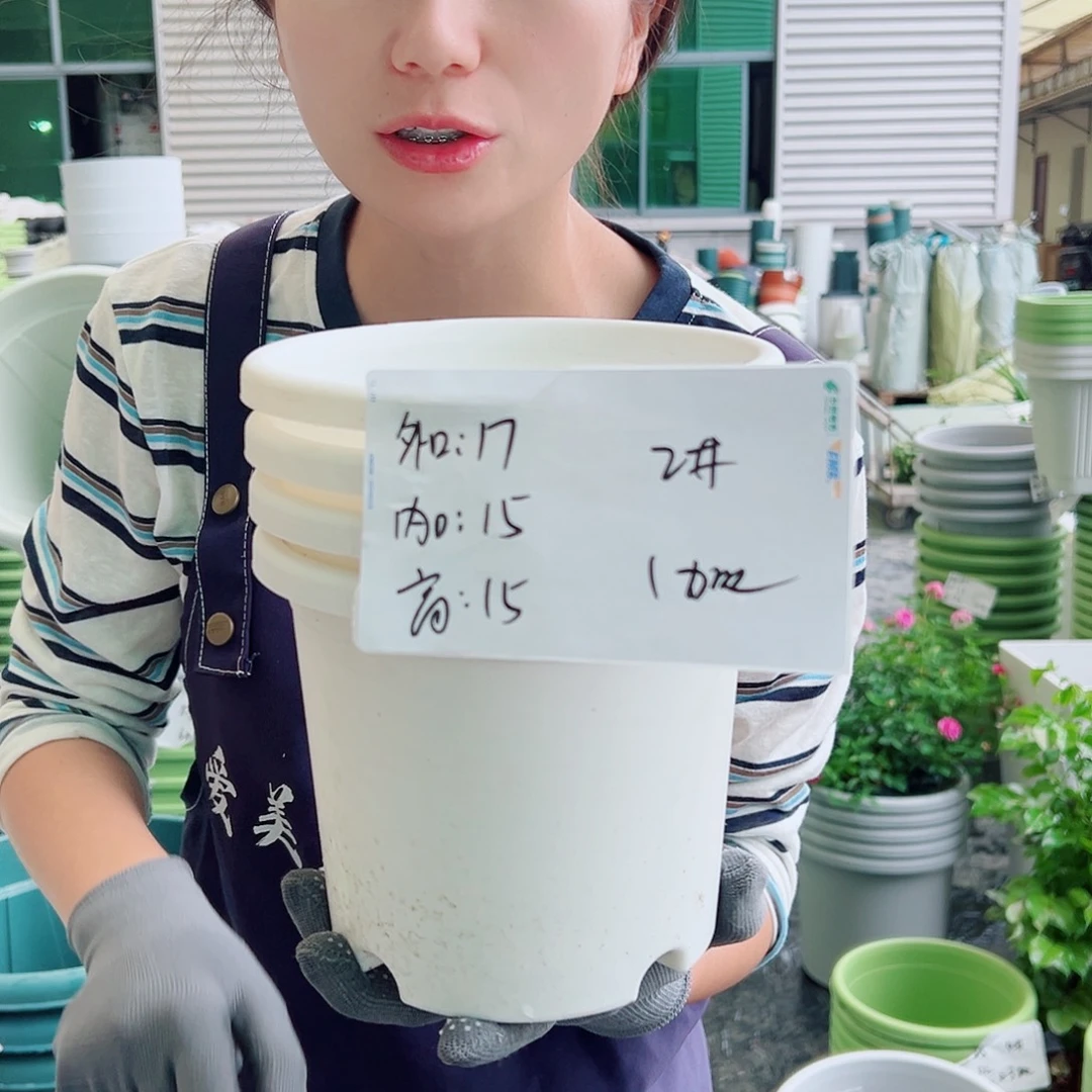 瑕疵球根盆1#果绿10个无托