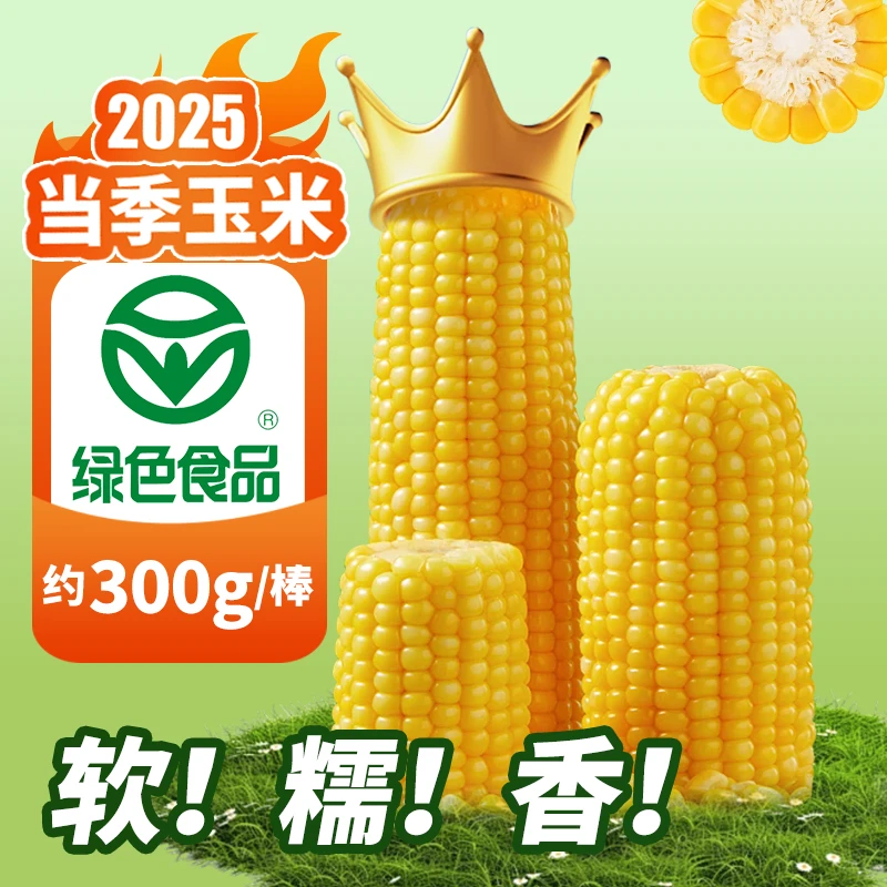【试吃4根】东北甜糯玉米黄糯12根早餐粗粮香甜可口代餐必备软糯香