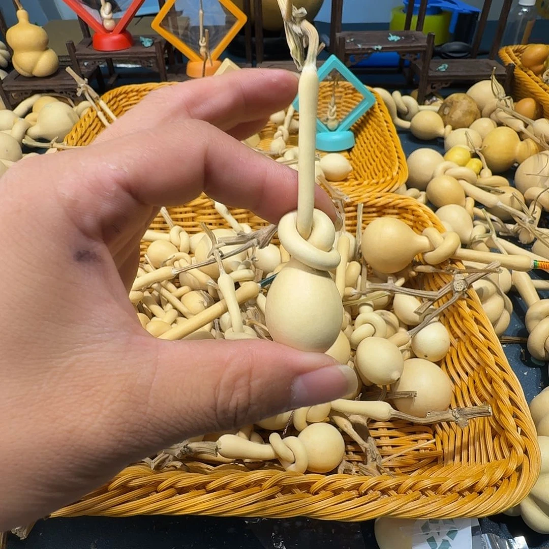 奡**爸葫芦科分布广泛适用地区我国