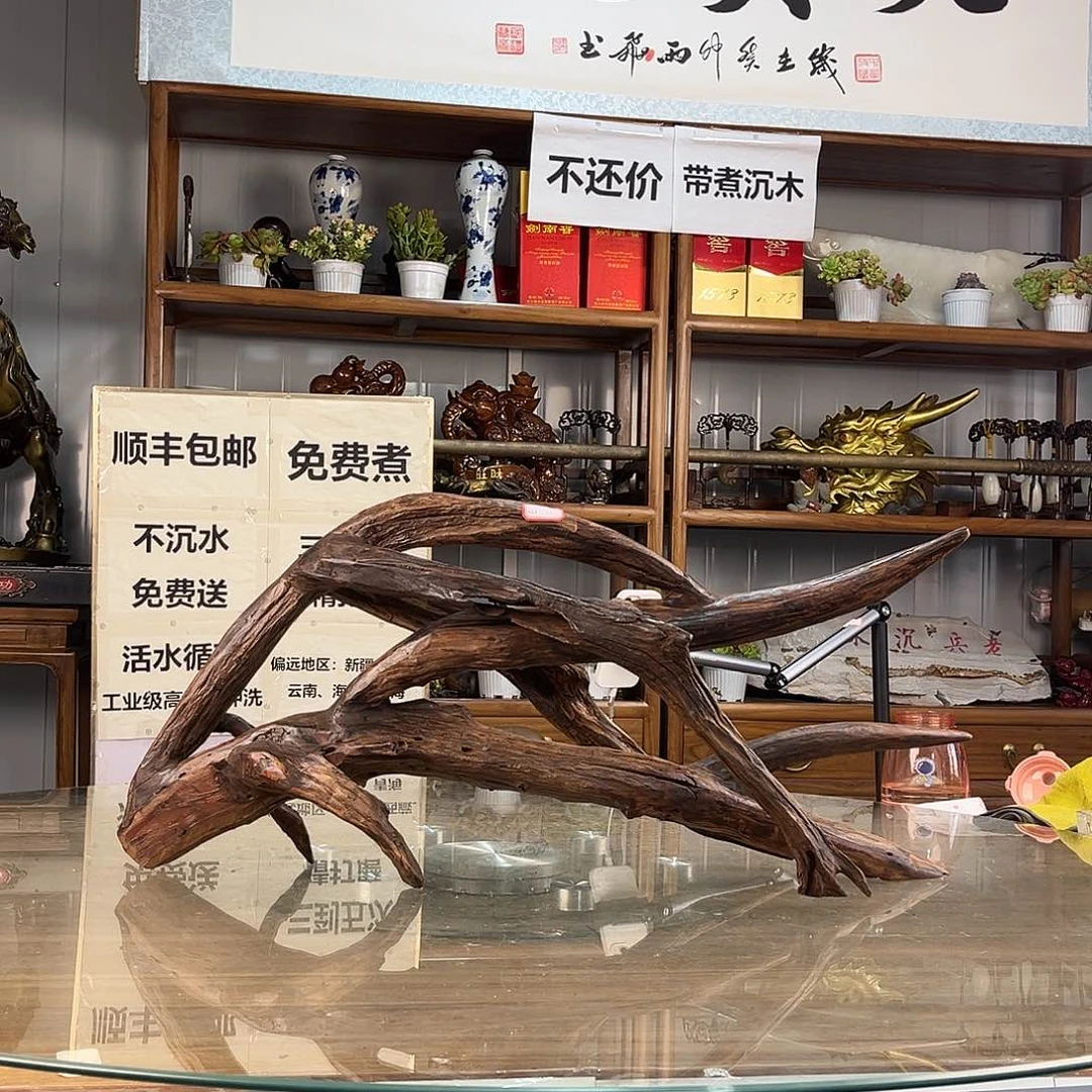 紫砂紫柚木卢*子一木成景