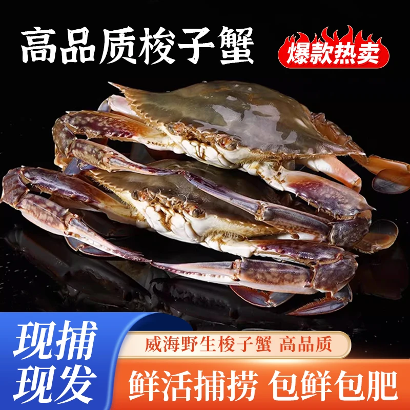 【保鲜不保活】石岛梭子蟹 现称斤两（只）公母混  改价链接勿拍
