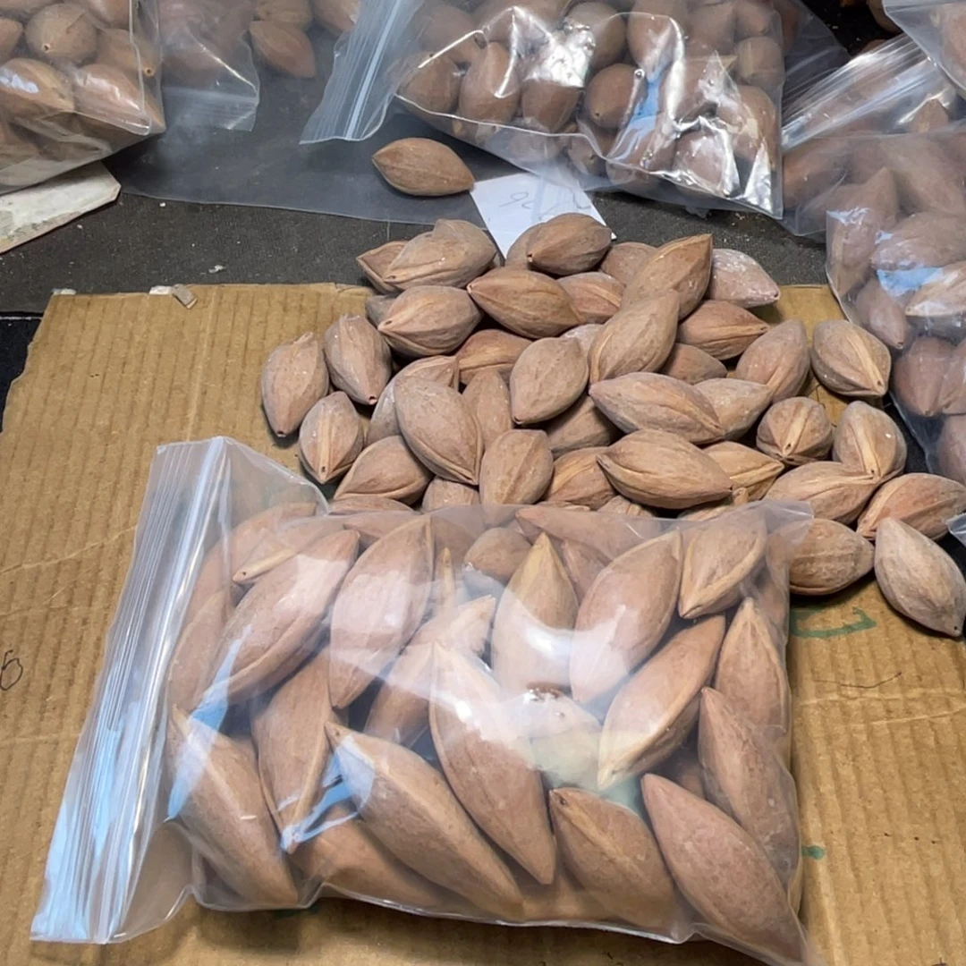 果***糖橄榄核吊坠不退不换