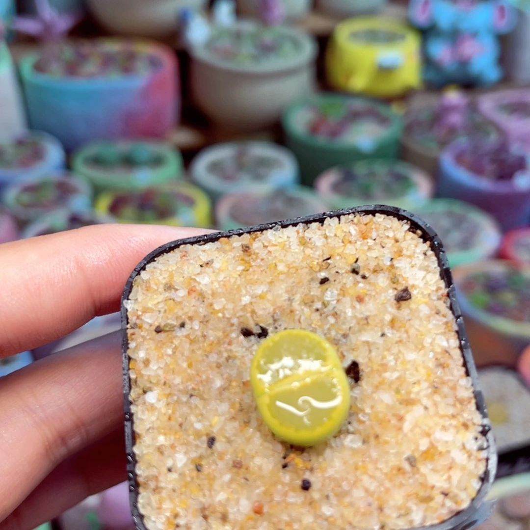 165。888888888888888