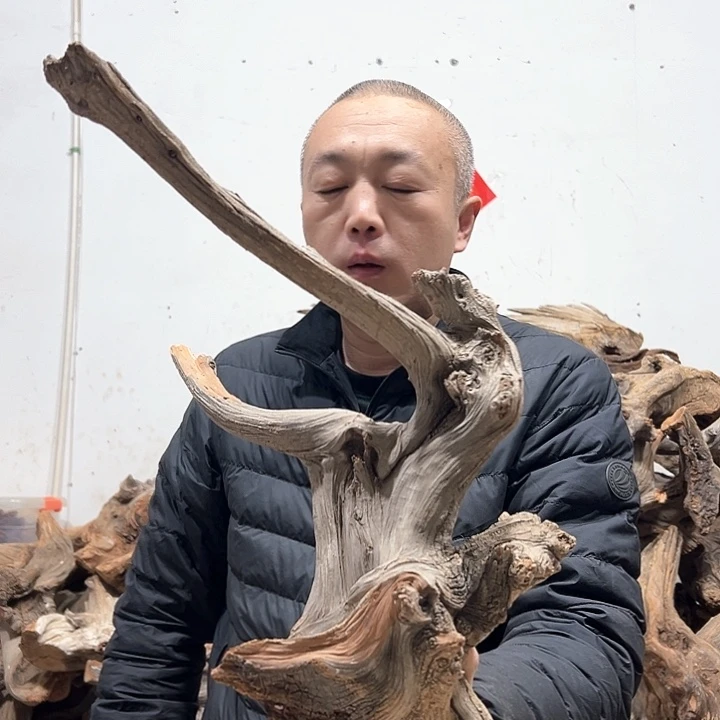 柏木?**?我们的生活也是如此