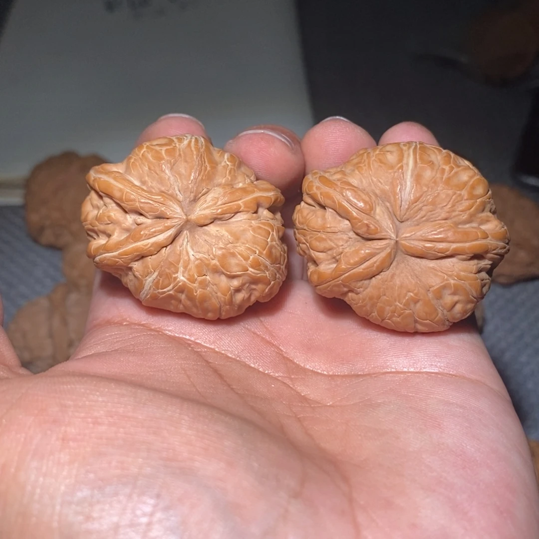 桃核把件元宝兔子