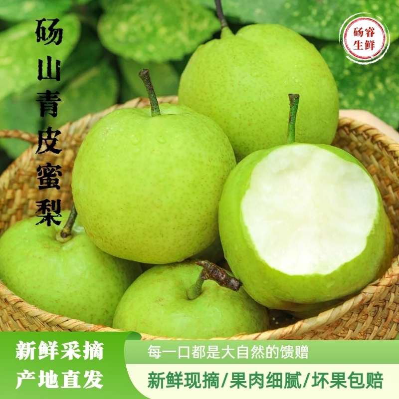 【礼盒装】正宗砀山翠冠梨青皮蜜梨脆甜多汁新鲜应季水果大果送礼装