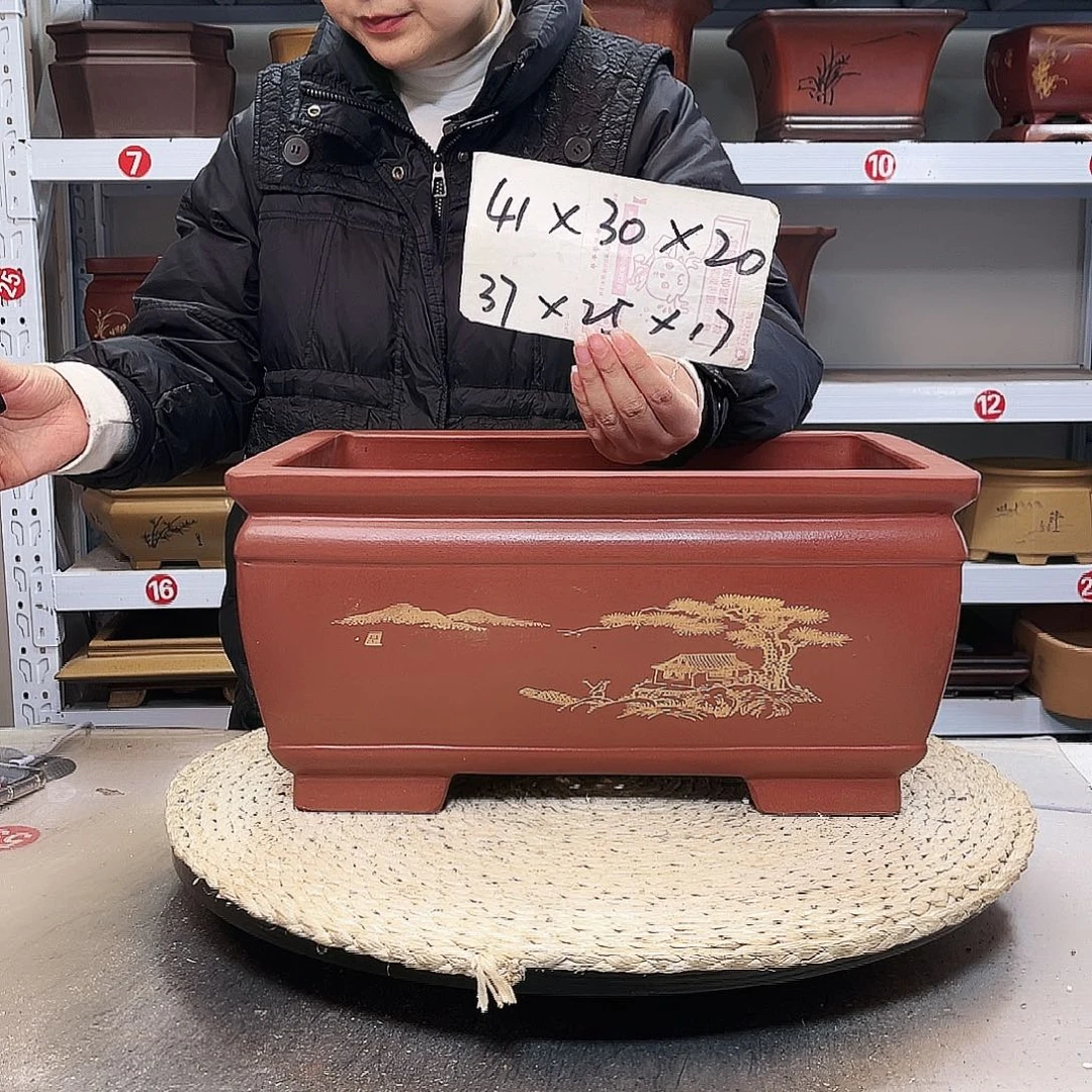 花盆紫砂紫砂花盆里