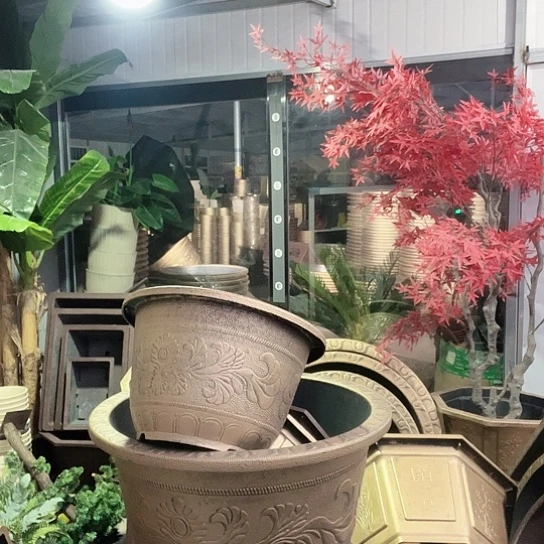复合盆景制作方法