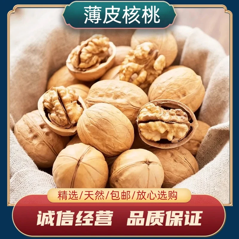 薄皮核桃500g原味新货漂泊大核桃坚果零食薄皮烤核桃另售黑桑椹干