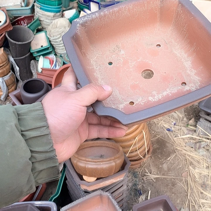 紫砂淘宝优惠券起单号给我