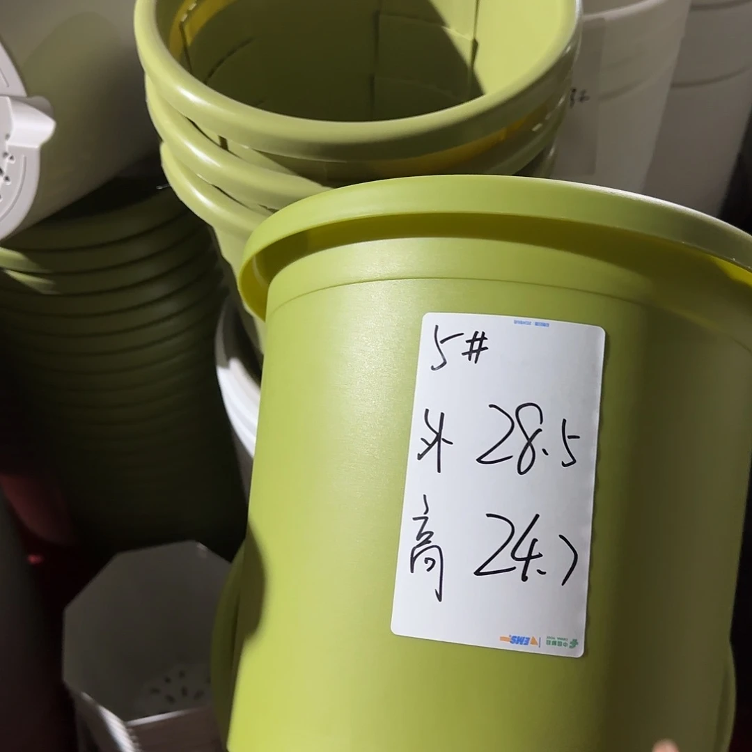 树脂四季5号带托6个果绿