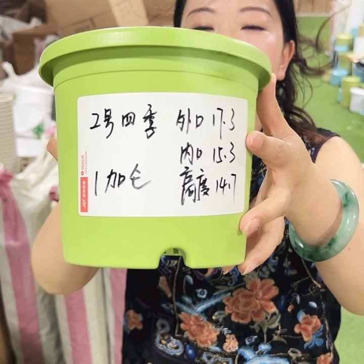 特价2号四季口17高15白色10只无托