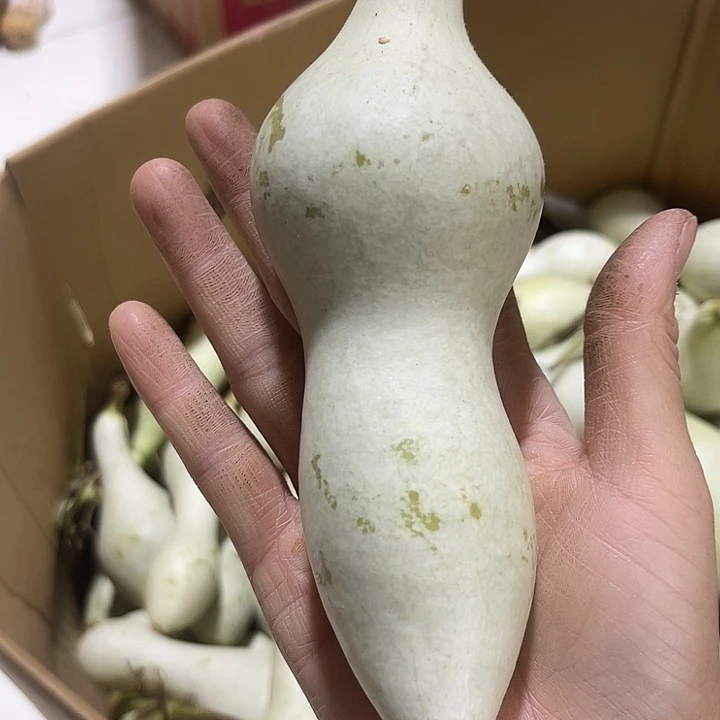 大果紫檀（缅甸花梨）小****，