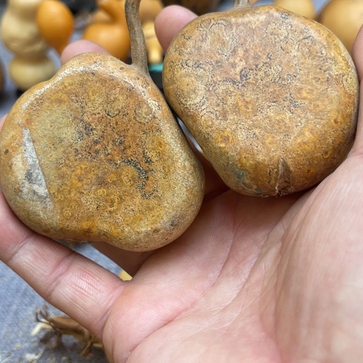 酒***子葫芦头的做法是用来做的吗哈哈