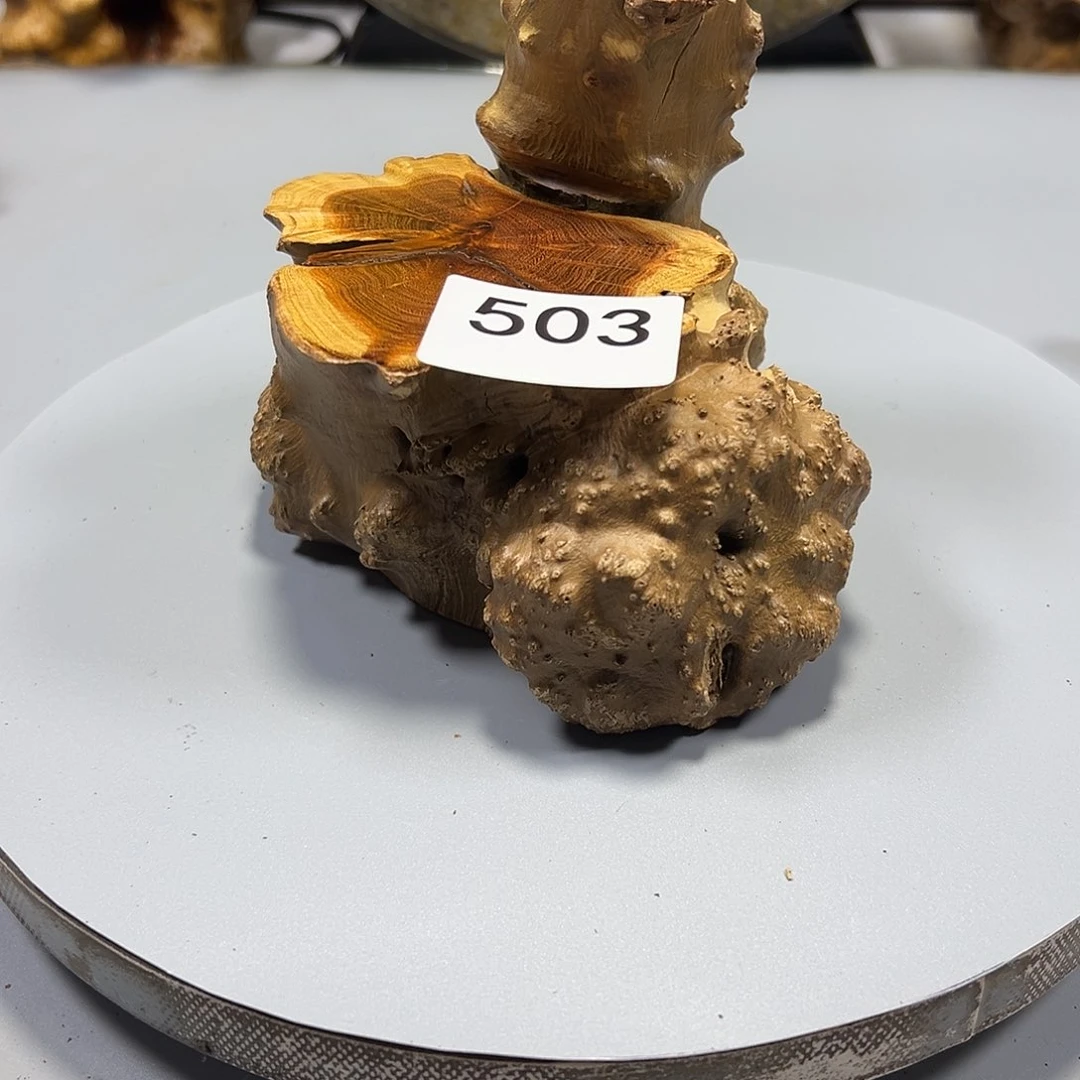 大果紫檀（缅甸花梨）乐*乐