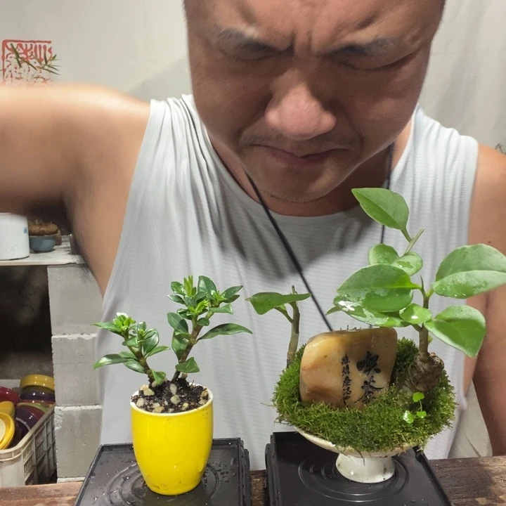 退款拉黑一物一拍200